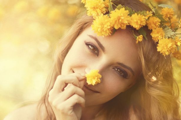 Spring Skin 01