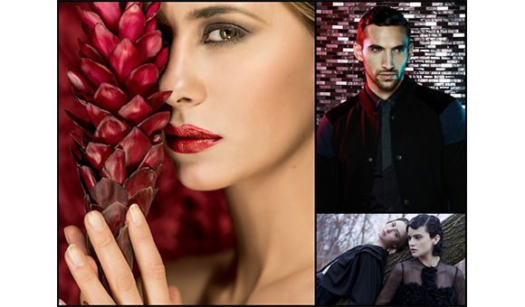 Collages558 1