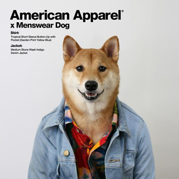 American Apparel 01 — image courtesy of amazon.com