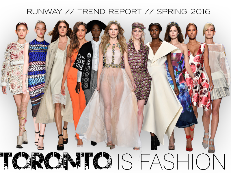 Toronto Fashion Week torontoisfashion — image courtesy of torontoisfashion.com