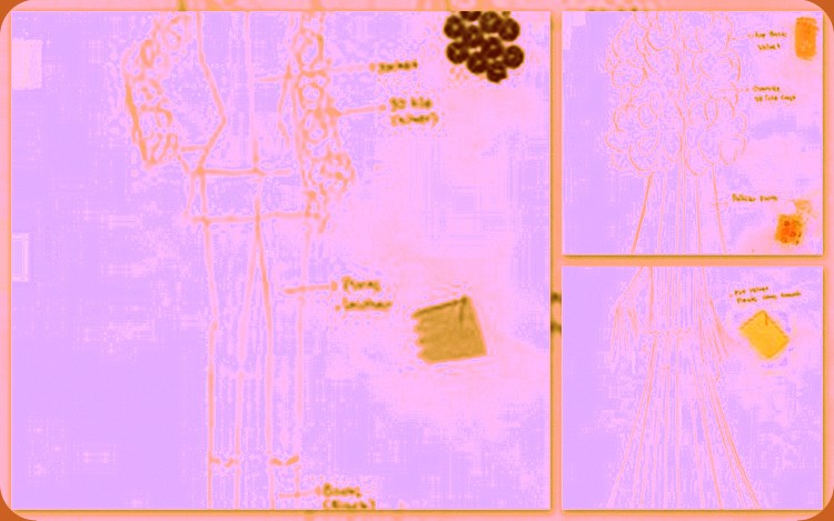 Collages1109