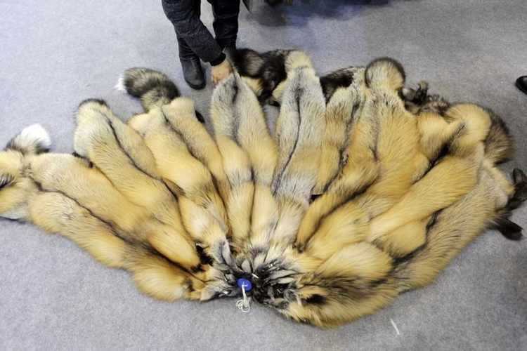 Norwegian Fur Farms zawya — image courtesy of zawya.com