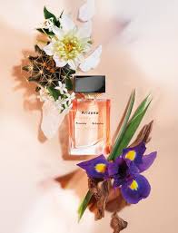 Proenza Schouler Arizona courtesy of Proenza Schouler