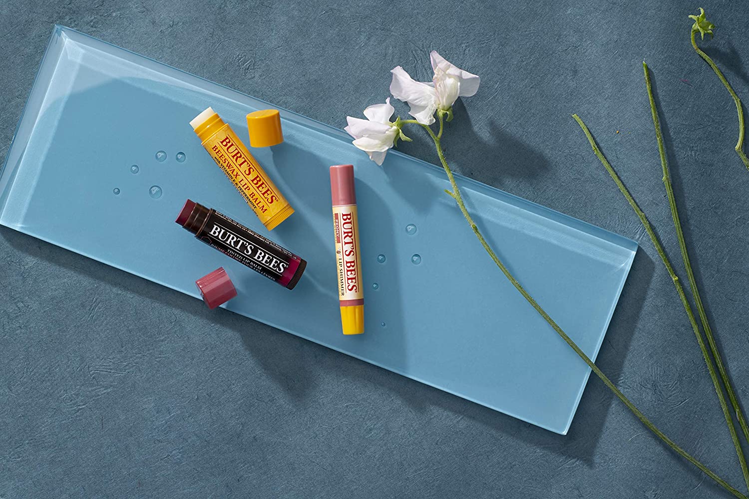 Kissable Burts Bees 05