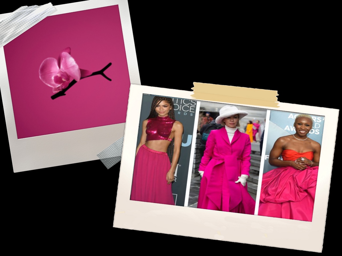 Fashion Predictions Orchid