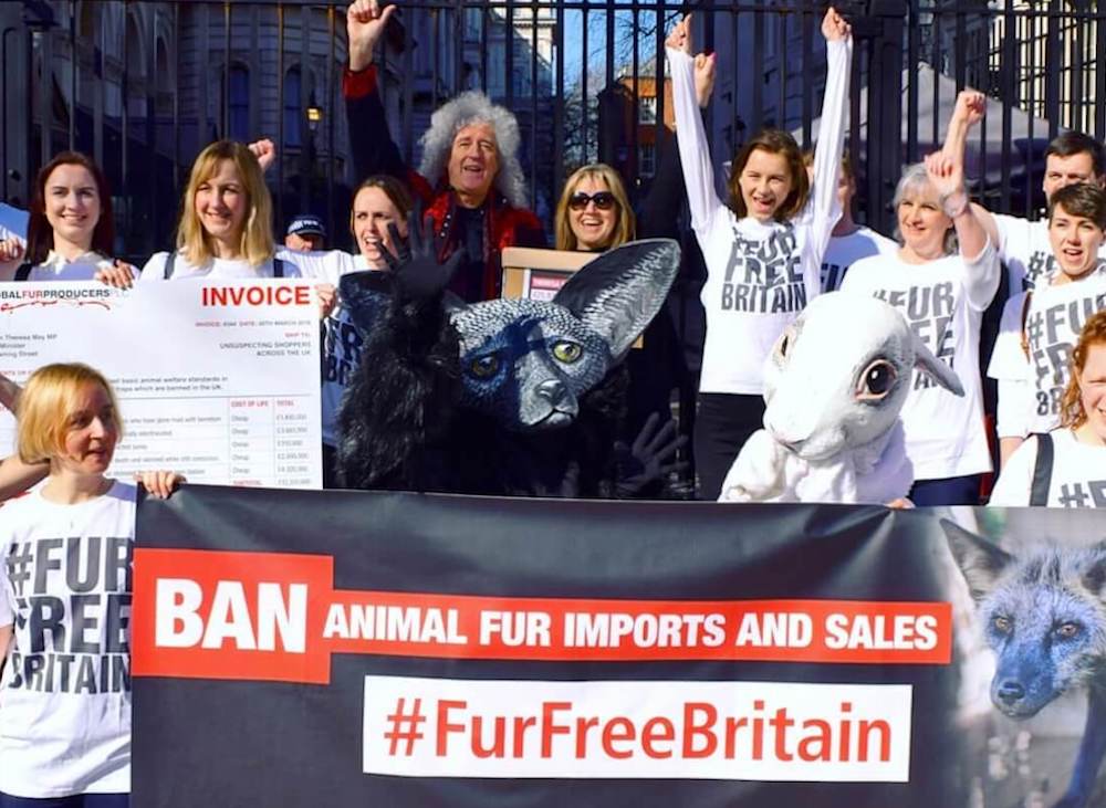Fur ban livekindly — image courtesy of livekindly.com