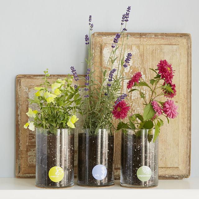02 Mothers Flower Grow — image courtesy of Uncommon Goods