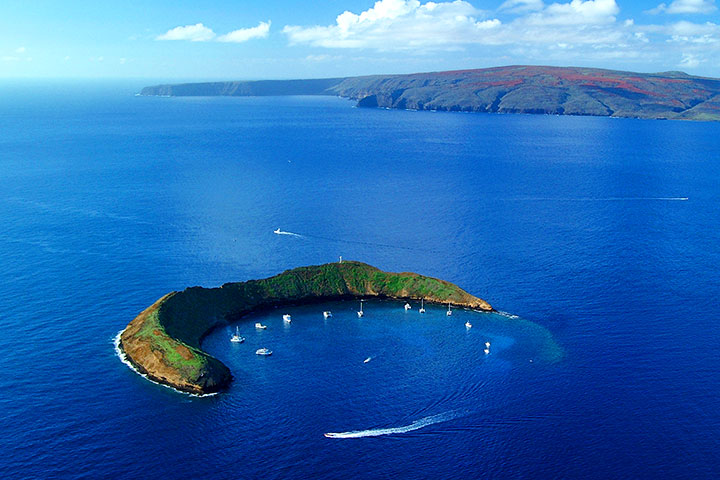 6.Maui