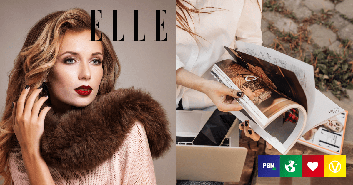 Elle furless 10news — image courtesy of 10news.com