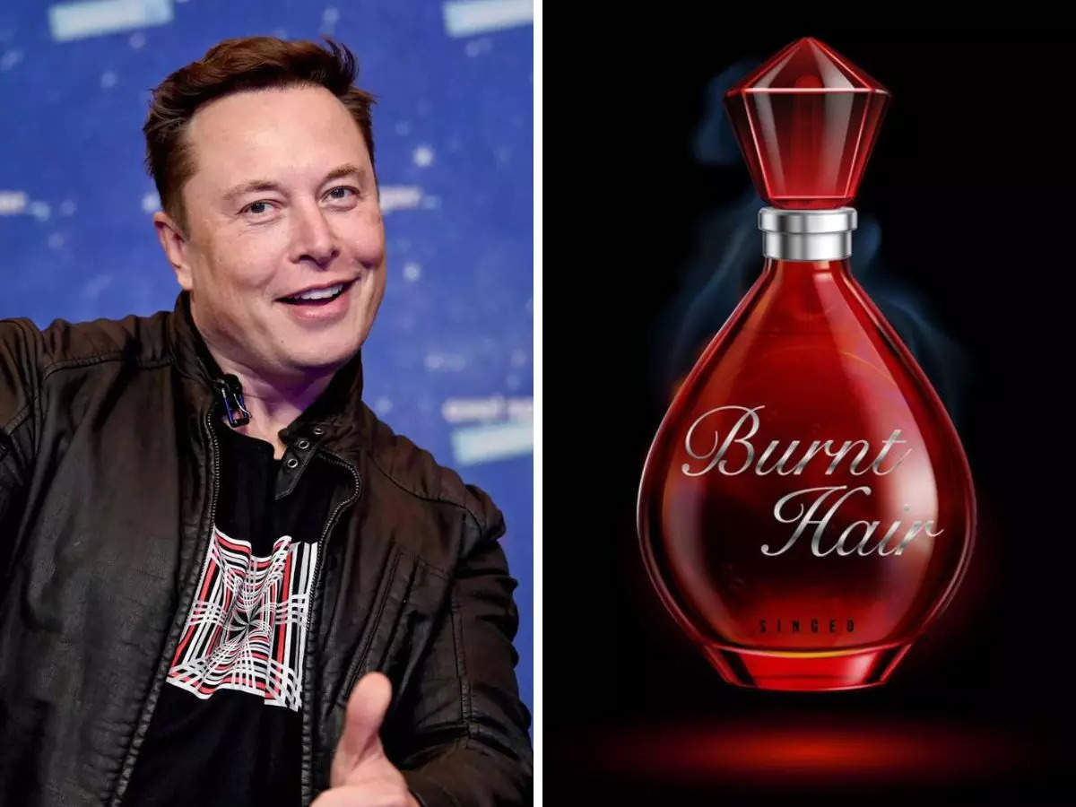 Elon Musk Burnt Hair economictimes — image courtesy of economictimes.com