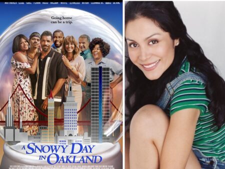 A Snowy Day in Oakland feature