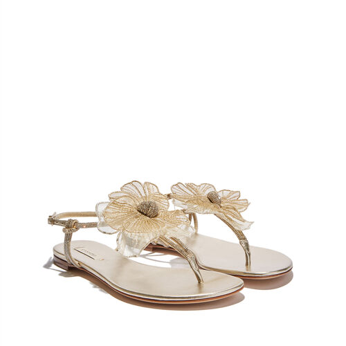 Spring Shoes Casadei 05