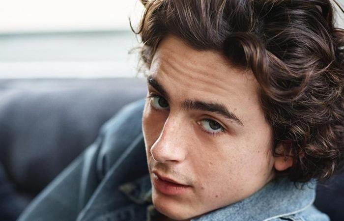 Timothee Chalamet DayFritalian — image courtesy of dayfritalian.com