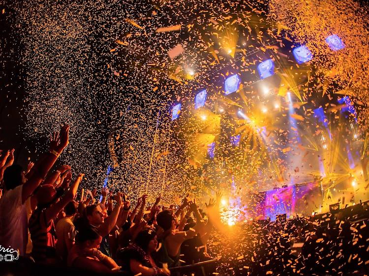 Summer Concerts 2023 timeout — image courtesy of timeout.com