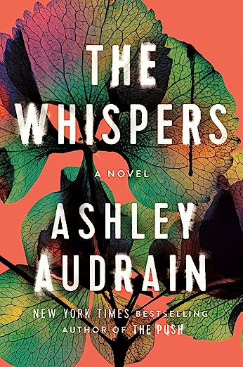 2023SummerReads AshleyAudrain 03