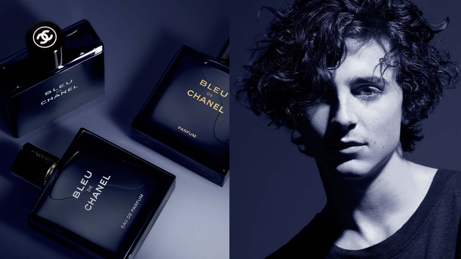 Timothee Chalamet Bleudechanel Wallpapermagazine — image courtesy of wallpapermagazine.com