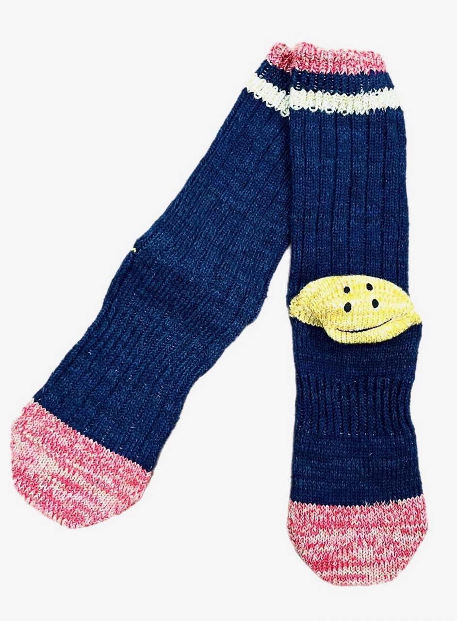 KAPITAL IVY RAINBOW HAPPY HEEL Hold Socks courtesy of independence chicago.com — image courtesy of independencechicago.com