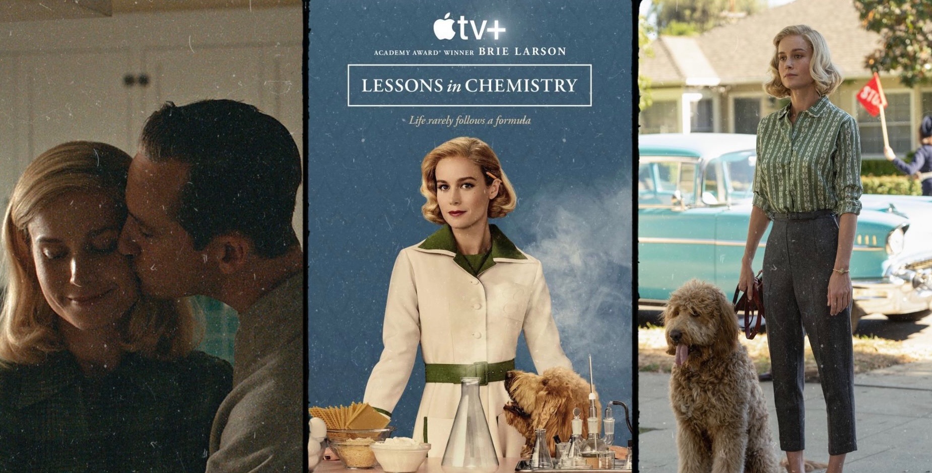 lessons in chemistry courtesy of veredneta.com