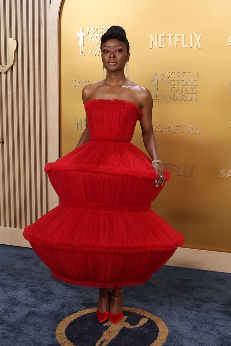 IMG 1556 — image courtesy of red-carpetawards.com