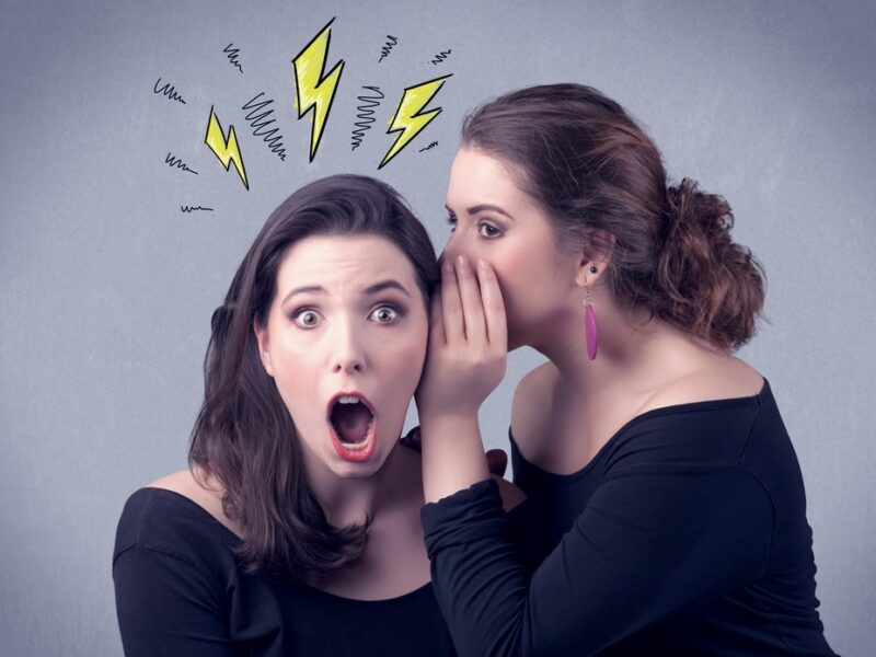 Gossip Notsalmon — image courtesy of notsalmon.com