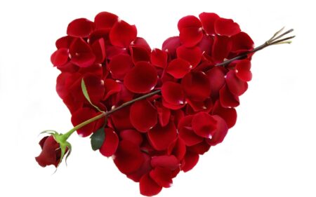 ValentinesDay FlowerHeart